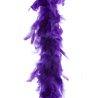 Carnaval verkleed veren Boa   kleur paars   2 meter   Verkleedkleding accessoires