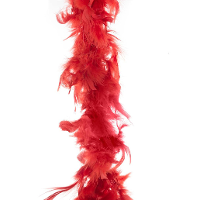 Carnaval verkleed veren Boa   kleur rood   2 meter   Verkleedkleding accessoires