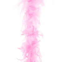 Carnaval verkleed veren Boa   kleur roze   2 meter   Verkleedkleding accessoires