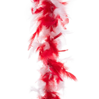Carnaval verkleed veren Boa   rood/wit   2 meter   Verkleedkleding accessoires