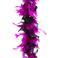 Carnaval verkleed veren Boa   zwart/roze   2 meter   Verkleedkleding accessoires