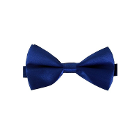 Carnaval verkleed vlinderstrikje   blauw   12 cm   voor dames/heren   strikken   kleding