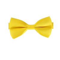 Carnaval verkleed vlinderstrikje   geel   12 cm   voor dames/heren   strikken   kleding