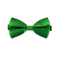 Carnaval verkleed vlinderstrikje   groen   12 cm   voor dames/heren   strikken   kleding