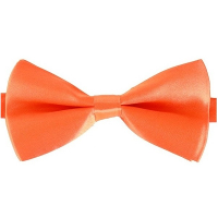 Carnaval verkleed vlinderstrikje   oranje   12 cm   voor dames/heren   strikken   kleding