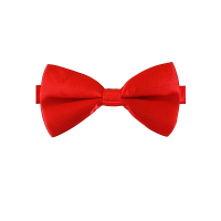 Carnaval verkleed vlinderstrikje   rood   12 cm   voor dames/heren   strikken   kleding