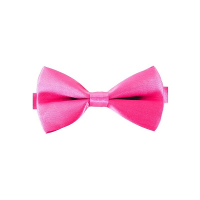 Carnaval verkleed vlinderstrikje   roze   12 cm   voor dames/heren   strikken   kleding