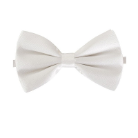 Carnaval verkleed vlinderstrikje   wit   12 cm   voor dames/heren   strikken   kleding