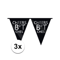 Cheers Bitches vlaggenlijn 10 meter   3x   zwart   enkelzijdig bedrukt   metallic zilver