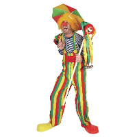 Clown verkleed kostuum tuinbroek   gestreept   volwassenen   Carnaval verkleedkleding