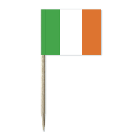 Cocktailprikkers vlag Ierland   50x stuks   8 cm vlaggetjes   Ierse landen decoratie   Prikkertjes