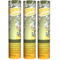 Confetti kanonnen/shooters   3x stuks   papier geld biljetten   20cm   Feestartikelen   money thema