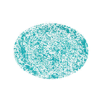 Crow Canyon Home Ovale Schaal   Turquoise