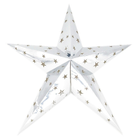 Decoratie kerstster   lampion   zilver   60 cm   vouwbare ster   kerstversiering