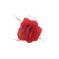 Decoratie of Hawaii/Spaanse haarbloem met veren   rood   10 x 10 cm
