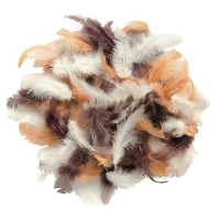 Decoratie sierveren bruin tinten   10 gr   Sierveren/veertjes   Hobby en knutsel materialen