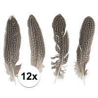 Decoratie   veren   Fazant   set van 12x stuks   Sierveren   22cm