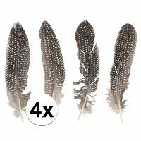 Decoratie   veren   Fazant   set van 4x stuks   Sierveren   22cm