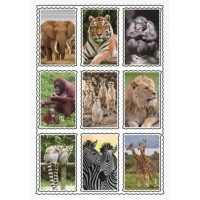 Dierentuin dieren 3D stickers