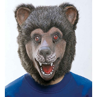 Feestmasker beer