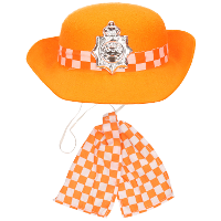 Folat   verkleed setje   Oranje   Engelse politie pet/geblokte das   volwassenen