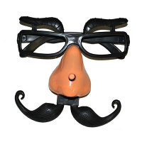 Fopneus/Fun bril met neus en wenkbrauwen   Verkleed artikelen   carnaval   Gekke Henkie