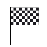 Geblokte finish vlag met stokje