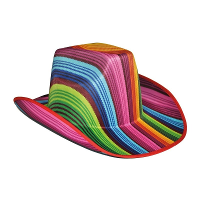 Gekleurde cowboyhoed   gestreept   regenboog   Carnaval verkleed hoeden