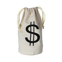 Geldzak met dollar teken   stof   16 x 23 cm   boef/dief verkleedaccessoires
