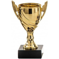 Gouden trofee beker   eerste prijs   H13 cm   Sportprijs   Metaal
