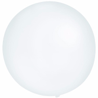 Grote ballonnen 60 cm   2x   transparant   Feestartikelen/versiering   verjaardag