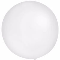 Grote ballonnen 60 cm   2x   wit   Feestartikelen/versiering   verjaardag