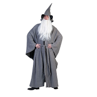 Halloween/Carnaval verkleedkleding Tovenaars kostuum   volwassenen   grijs   tuniek