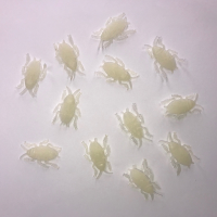 Halloween   Kakkerlakken glow in the dark 12x stuks