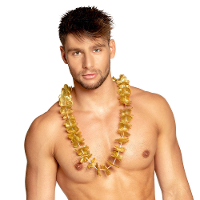 Hawaii krans   goud   stof   hawaikransen   tropisch   hawaii slinger