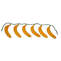 Hawaii tropische verkleedaccessoire   Bananen riem   94 cm   rokje