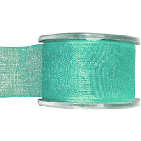 Hobby/decoratie sierlint   mintgroen   organza   4 cm x 20 meter