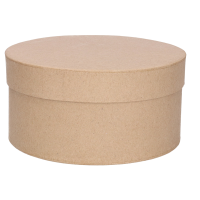 Hobby doosje / cadeaudoosje   30 x 15 cm   karton   bruin   DIY   hoedenbox