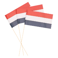 Holland zwaaivlaggetjes   papier   38 cm   Nederlandse vlag   Koningsdag