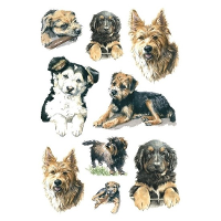 Honden / puppy stickers   3x velletjes van 9 stickertjes   dierenstickers   hondenstickers