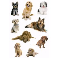 Honden stickers   3x velletjes   hobbystickers hondjes   plakstickers