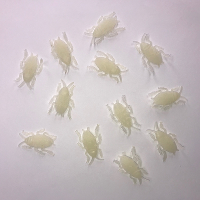 Kakkerlakken glow in the dark 12x stuks