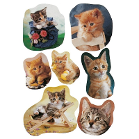 Katten/poezen dieren stickers   21x stuks op vel   kinderstickers   stickervellen   knutselspullen