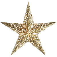 Kerstversiering decoratie kerststerren wit/goud 60 cm