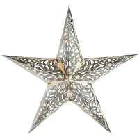 Merkloos Kerstversiering decoratie kerststerren wit/zilver 60 cm