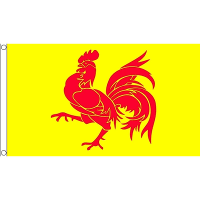 Landenvlag Wallonie haan vlag   geel/rood   150 x 90 cm   Belgie