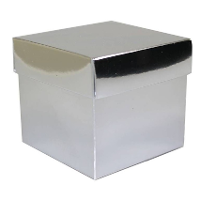 Luxe cadeaudoosje met deksel   zilver metallic   10 x 10 x 10 cm   vierkant