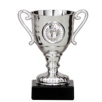 Luxe trofee/prijs beker met oren   zilver   metaal   11 x 6 cm