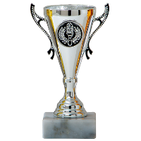 Luxe trofee/prijs beker met sierlijke oren   zilver   kunststof   13 x 8 cm