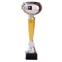 Luxe trofee/prijs beker   zilver/goud middenstuk   kunststof   26 x 10 cm